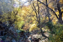 2021-11-07-Dehesa-del-Camarate001100