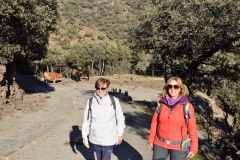 2021-11-07-Dehesa-del-Camarate001122