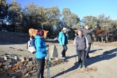 2021-11-07-Dehesa-del-Camarate001129