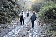 2021-11-07-Dehesa-del-Camarate001135