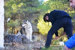 2021-12-12-Jornadas-plantacion-ValleScout-01