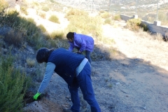 2021-12-12-Jornadas-plantacion-ValleScout-02