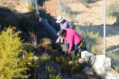 2021-12-12-Jornadas-plantacion-ValleScout-03