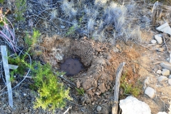 2021-12-12-Jornadas-plantacion-ValleScout-04