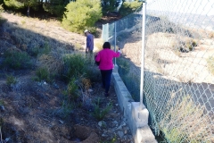 2021-12-12-Jornadas-plantacion-ValleScout-05