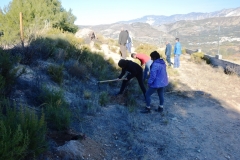 2021-12-12-Jornadas-plantacion-ValleScout-07