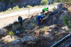 2021-12-12-Jornadas-plantacion-ValleScout-10