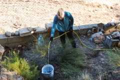 2021-12-12-Jornadas-plantacion-ValleScout-12