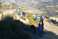 2021-12-12-Jornadas-plantacion-ValleScout-14