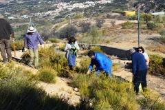 2021-12-12-Jornadas-plantacion-ValleScout-16