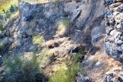 2021-12-12-Jornadas-plantacion-ValleScout-30