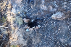 2021-12-12-Jornadas-plantacion-ValleScout-31