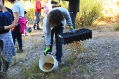 2021-12-12-Jornadas-plantacion-ValleScout-41