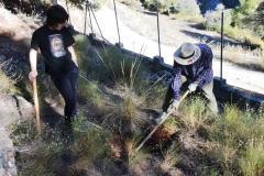 2021-12-12-Jornadas-plantacion-ValleScout-50