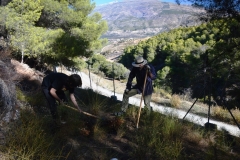 2021-12-12-Jornadas-plantacion-ValleScout-51