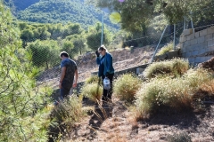 2021-12-12-Jornadas-plantacion-ValleScout-58