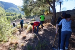 2021-12-12-Jornadas-plantacion-ValleScout-59