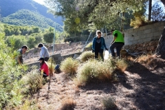 2021-12-12-Jornadas-plantacion-ValleScout-61