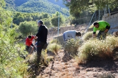 2021-12-12-Jornadas-plantacion-ValleScout-62
