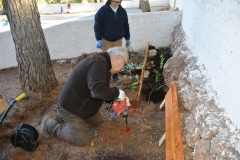 2021-12-12-Jornadas-plantacion-ValleScout-83