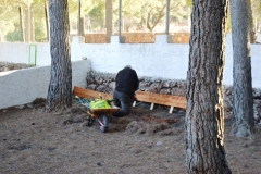 2021-12-12-Jornadas-plantacion-ValleScout-84