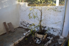 2021-12-12-Jornadas-plantacion-ValleScout-85