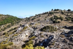 2022-01-24-Cerro-Buenavista-Trincheras-074