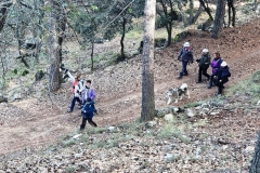 2022-01-24-Cerro-Buenavista-Trincheras-079