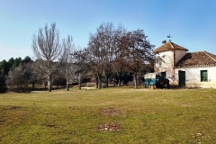 2022-01-24-Cerro-Buenavista-Trincheras-099