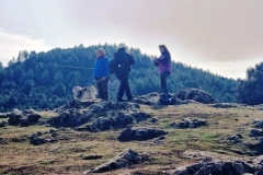 2022-01-24-Cerro-Buenavista-Trincheras-101