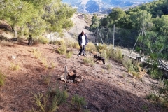 2022-02-11-Viernes-ValleScout-02