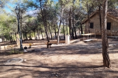 2022-02-18-Viernes-ValleScout-01