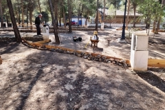 2022-02-18-Viernes-ValleScout-06