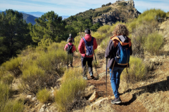 2022-11-20-Excursion-Cortijo-Linillos-06