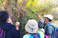 2023-09-24-Guilda-Estrella-Polar-12