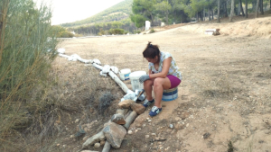2023 19 ValleScout- Limpieza tejados 