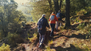 2023 23 Excursión- Fuente de la Mora