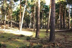 1_2023-01-14-Excursion-el-Pozuelo-01