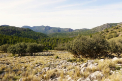 1_2023-01-14-Excursion-el-Pozuelo-07