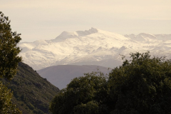 1_2023-01-14-Excursion-el-Pozuelo-09