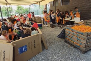 2024 11 ValleScout- Stands Fiesta de la Naranja