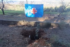 20260110_ALGARROBO-DE-ALFONSO-