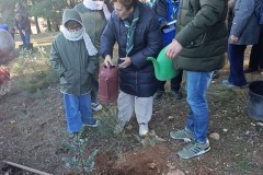 20260110_PLANTACION-ALGARROBO-1