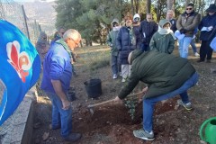 20260110_PLANTACION-ALGARROBO-3