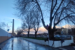 IMG-20260208-WA0001