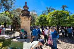 WhatsApp-Image-2026-04-18-at-18.42.542