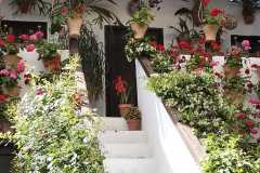 WhatsApp-Image-2026-04-19-at-15.09.05