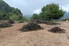 2026-04-25-at-22.05.11