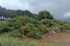 2026-04-25-at-22.05.13-2