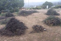 2026-04-25-at-22.05.13-3